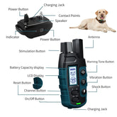 1000M Waterproof Remote Dog Training Collar – Shock & Vibration for 2 Dogs